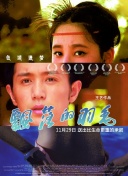 暗黑破坏神：不朽角色培养与属性选择建议